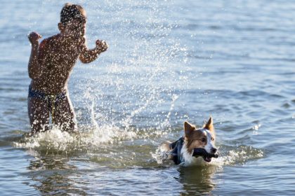 Vacanze con animali al Trasimeno 4 Vacanze con animali al Trasimeno 4